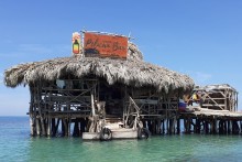 Pelican Bar Adventure
